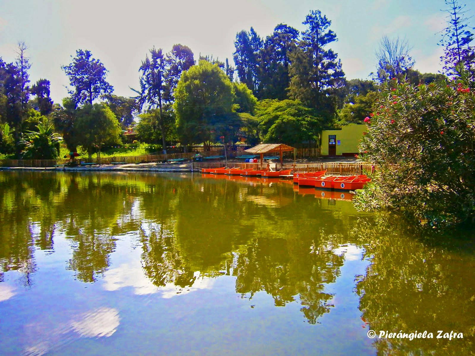 Pasear en bote en el Vivero Forestal