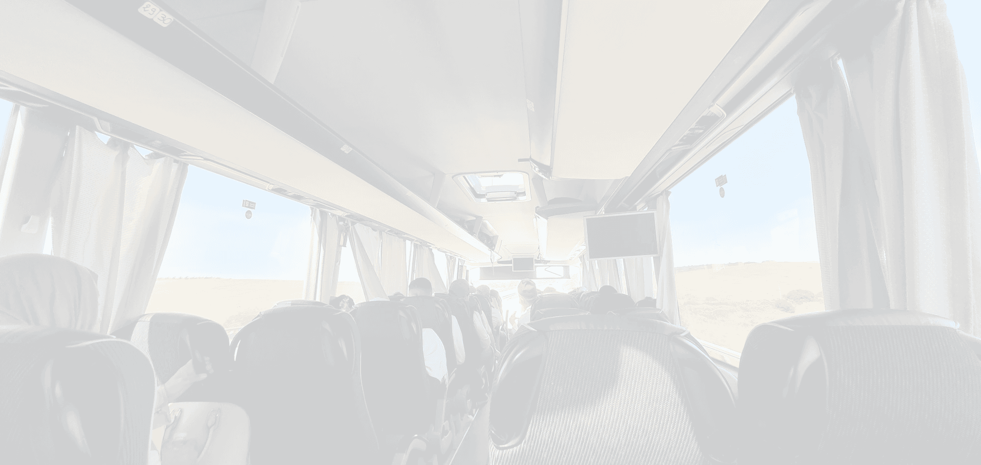 background preguntas